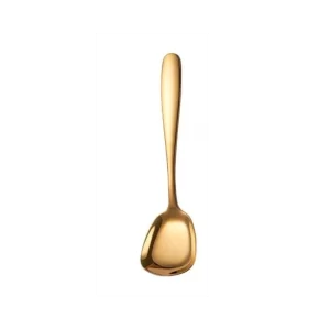 gold serving spoon